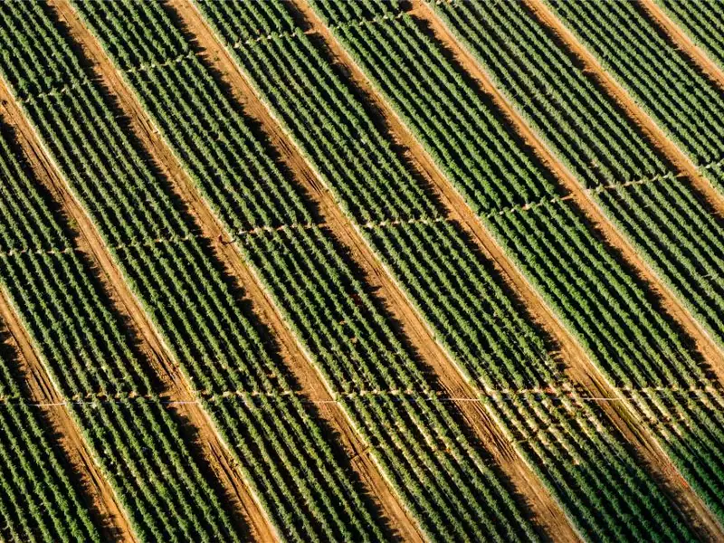 Hofladen Sonnenfeld