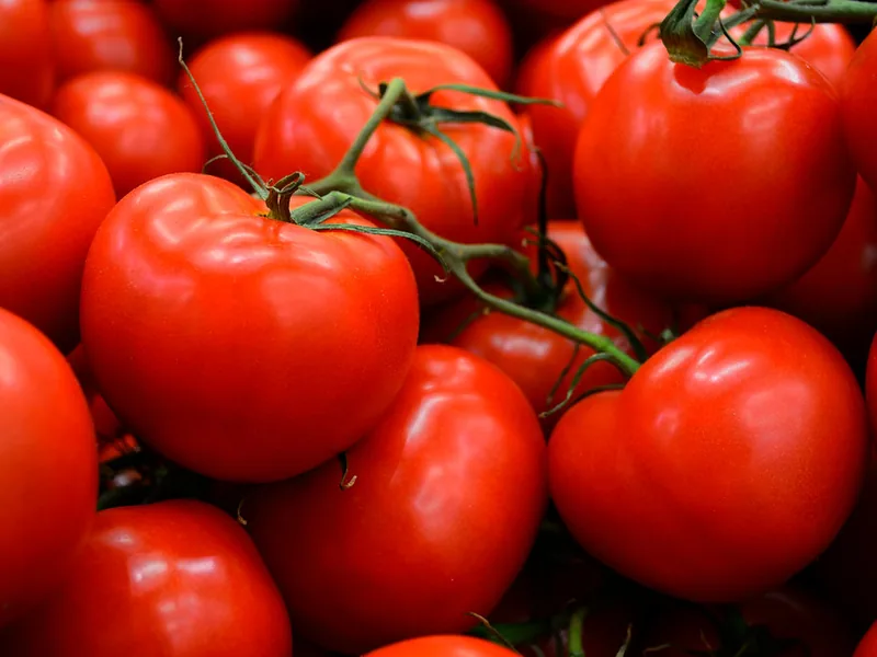 Bio-Tomaten, 500 g